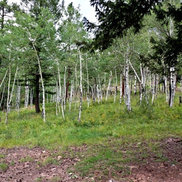 Meet your Posher, Michael - Picture 1 of 1